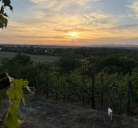 Sonnenuntergang über dem Weinberg mit einer Katze in Banka bei der Hütte.