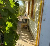 Die Veranda des Ferienhauses in Banka mit einem Holztisch, umgeben von grünem Weinlaub.