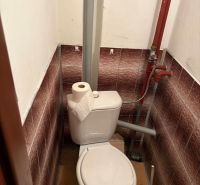 Toilette mit klassischem WC und Eckfliesen in der Hütte.
