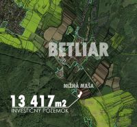 Karte des Investitionsgrundstücks mit einer Fläche von 13.417 m² in Betliar.