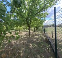 Obstbäume und Zaun auf Gewerbegrundstücken in Holíč.