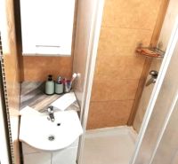 Badezimmer mit Waschbecken und Duschkabine in einer Einzimmerwohnung.