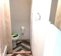 Badezimmer mit Toilette und Holzboden in einer Einzimmerwohnung.