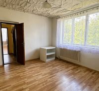 Ein Zimmer mit einem Holzboden, einem Schrank und einem Wandgemälde in einem Einfamilienhaus.