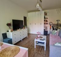 Wohnzimmer in einer Einzimmerwohnung mit Holzboden und gemütlicher Einrichtung.