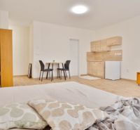 Einzimmerwohnung mit Holzboden, Küchenzeile, Esstisch für zwei Personen.