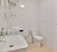 Badezimmer in einem Einzimmerapartment mit Waschmaschine, Waschbecken, Toilette und Duschkabine, Boden mit Holzdekor.