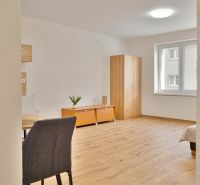 Einzimmerwohnung mit Holzboden, Schrank, Fenster, Tisch und zwei Schränkchen.
