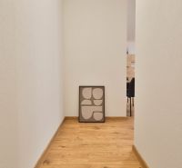Der Flur im Einzimmerapartment mit einem Boden in Holzoptik und einem an die Wand gelehnten Bild.