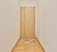 Ein enger Flur mit weißen Wänden und Türen mit Holzdekor in einem Einzimmerapartment.