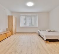 Ein Studio-Apartment mit Holzboden, Bett und Schrank, neutrale Farben.