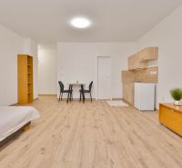 Einzimmerwohnung mit Küchenzeile, Möbeln und Bodenbelag in Holzoptik.