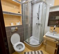 Badezimmer mit Toilette, Duschkabine, Waschbecken und Regalen in einer Einzimmerwohnung.