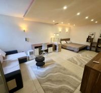 1-Zimmer-Wohnung mit Bett, Sofa, Teppich und Beleuchtung, Boden mit Holzdekor.