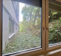 Der Blick aus dem Fenster einer Einzimmerwohnung auf das Grün und das Nachbargebäude.
