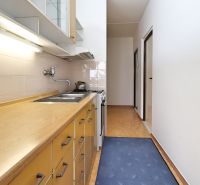 Küche in einer 2-Zimmer-Wohnung mit langer Arbeitsplatte in Holzoptik und blauem Teppich.