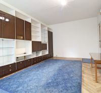 Wohnzimmer mit Möbeln, blauem Teppich und Holzboden in einer Zweizimmerwohnung.