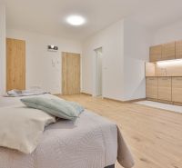 Einzimmerwohnung mit Holzboden, Küchenzeile und Bett in hellen Tönen.