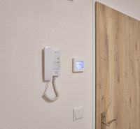 Türen mit Holzdekor und Gegensprechanlage in einem Einzimmerapartment.