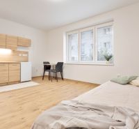 Einzimmerwohnung mit Kochnische, Bett und Esstisch, Boden mit Holzdekor.
