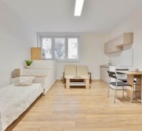 Einzimmerwohnung mit Holzboden, Bett, Kochnische und Möbeln.