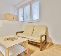 Einzimmerwohnung mit Sofa, Tisch und Holzboden.