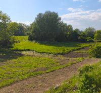 Grünfläche auf dem Erholungsgrundstück in Záhorce in der Straße Selešťany, umgeben von Bäumen und Gras.