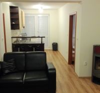 Wohnzimmer mit Ledersofa, Küchenzeile und Holzboden in einer 3-Zimmer-Wohnung.