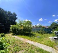 Der Garten beim Einfamilienhaus in Borský Mikuláš mit einem Gehweg und umliegendem Grün.
