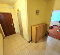 Flur in einer 4-Zimmer-Wohnung mit Eingangstür und Aufbewahrungsmöbeln.