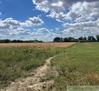 Landwirtschaftliche und forstwirtschaftliche Flächen in Bernolákovo mit ausgedehnten Feldern und einem Himmel voller Wolken.