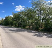 Ein Weg, der von Bäumen umgeben ist, neben landwirtschaftlichen und forstwirtschaftlichen Flächen in Bernolákovo.