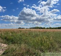 Ein Feld mit Pflanzen unter einem Himmel voller Wolken in der Umgebung von Bernolákovo auf landwirtschaftlichen und forstwirtschaftlichen Flächen.