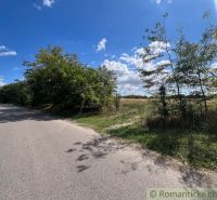 Ein Weg mit landwirtschaftlichen und forstwirtschaftlichen Flächen in der Nähe von Bernolákovo, gesäumt von Bäumen und einem Feld.