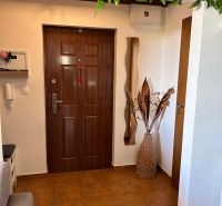 Eingangsflur mit Pflanze und Holzelementen in einer 3-Zimmer-Wohnung.