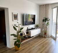 Ein Zimmer in einer 3-Zimmer-Wohnung mit einem Boden in Holzoptik, einem Fernseher und Pflanzen.