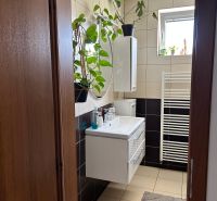 Badezimmer in einer 3-Zimmer-Wohnung mit Fliesen und grünen Pflanzen.
