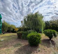 Ein Garten in Komárno mit Grün und einem Sonnenschirm unter einer bewölkten Himmel.
