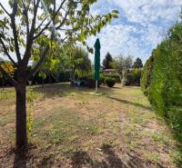 Ein schöner Gartenbereich in Komárno mit Grünflächen und Bäumen, ideal zum Entspannen.