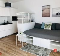 1-Zimmer-Wohnung mit Küchenzeile, Sofa und Boden in Holzoptik.