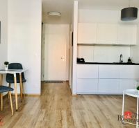 1-Zimmer-Wohnung mit Holzboden, Küche und Essbereich.