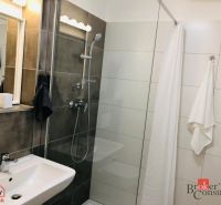 Badezimmer mit Dusche und Waschbecken in einer Einzimmerwohnung.