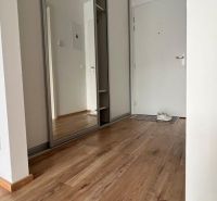 Der Flur in einer Einzimmerwohnung mit einem Boden in Holzoptik und einem Einbauschrank.