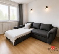 Wohnzimmer in einer 2-Zimmer-Wohnung mit einem Sofa, einem Boden in Holzoptik und einem Kühlschrank.
