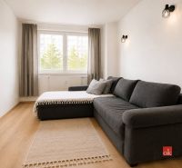 Wohnzimmer in einer 2-Zimmer-Wohnung mit einem bequemen Sofa und einem Boden in Holzoptik.