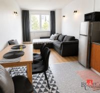 Wohnzimmer in einer Zweizimmerwohnung mit Sofa und Holzboden.