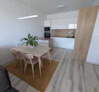 Küche und Essbereich in einer 2-Zimmer-Wohnung mit Holzboden.