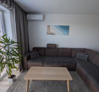 Wohnbereich mit großem Sofa, Couchtisch, Pflanze und Wandklimaanlage in einer 2-Zimmer-Wohnung.