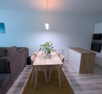 Esszimmer in einer 2-Zimmer-Wohnung mit Esstisch und Boden in Holzoptik.