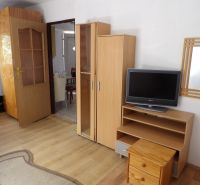Wohnzimmer in einer 2-Zimmer-Wohnung mit Möbeln und Boden in Holzoptik.